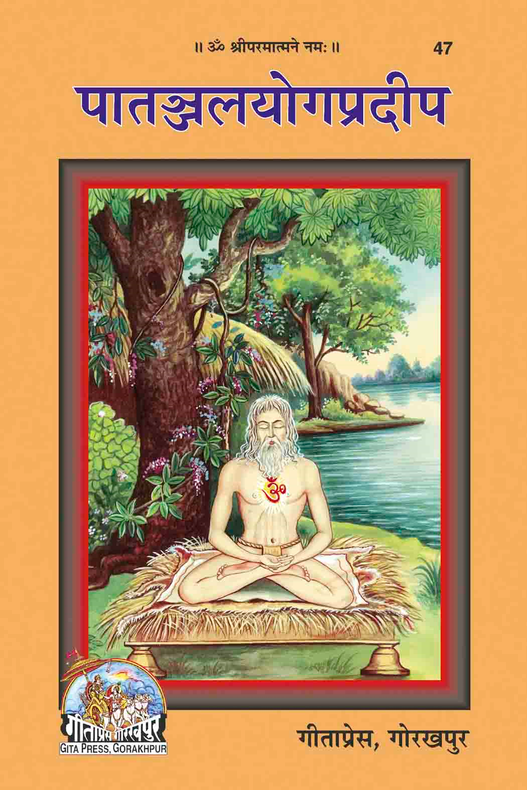 पातंजल योगप्रदीप