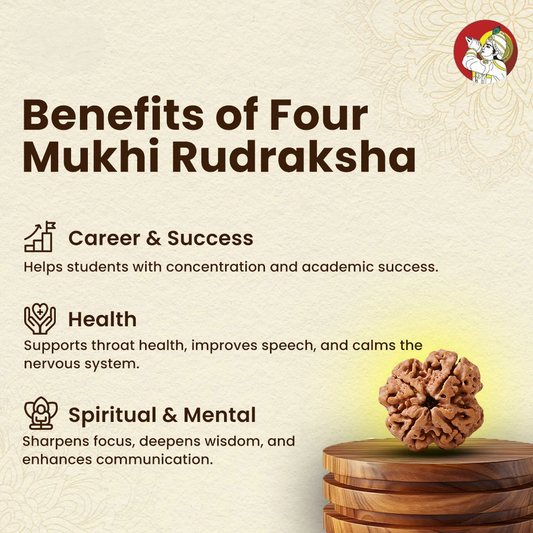 4 Mukhi Lab Tested Certified Nepali Rudraksha