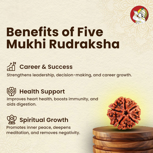 5 Mukhi Lab Tested Certified Nepali Rudraksha