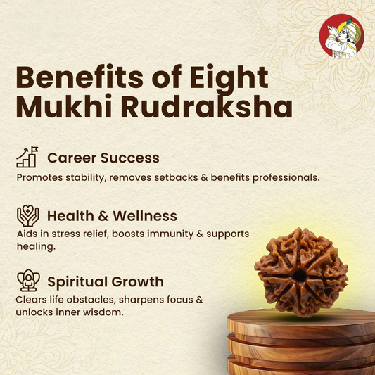 8 Mukhi Lab Tested Certified Rudraksha
