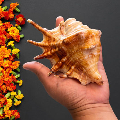 शुभ ऊर्जा जागरण किट (Shubh Urja Awakening Kit)