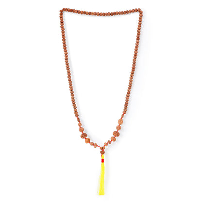 1 - 14 Mukhi Rudraksha Mala