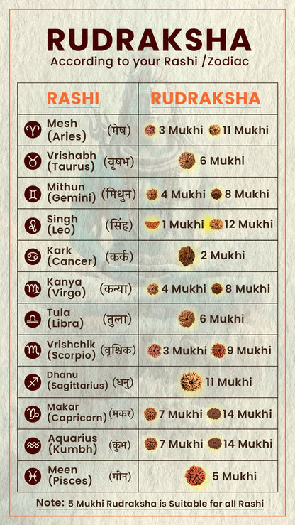 7 Mukhi Lab Tested Certified Nepali Rudraksha