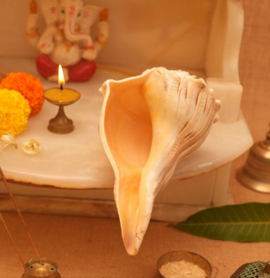Laxmi shankh (for puja)