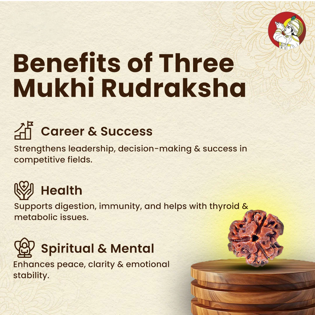 3 Mukhi Rudraksh