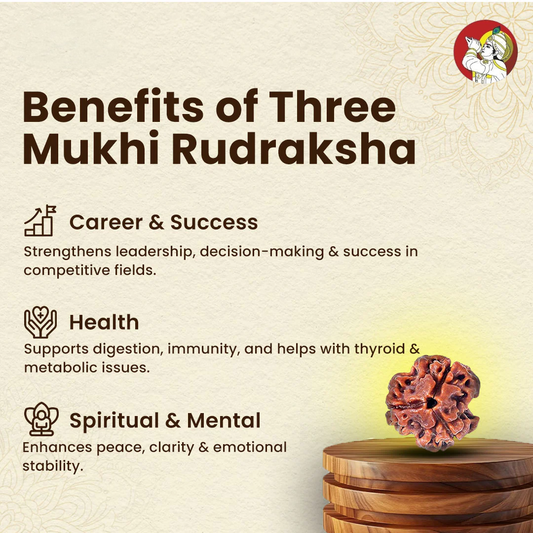 3 Mukhi Rudraksh