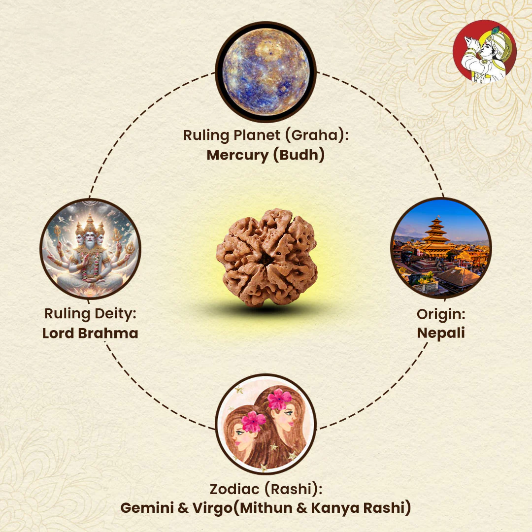 4 Mukhi Lab Tested Certified Nepali Rudraksha