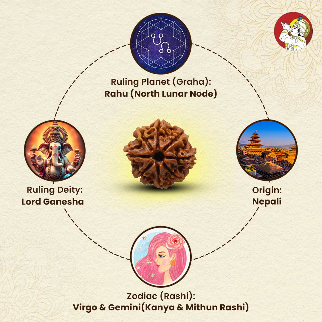 8 Mukhi Lab Tested Certified Rudraksha