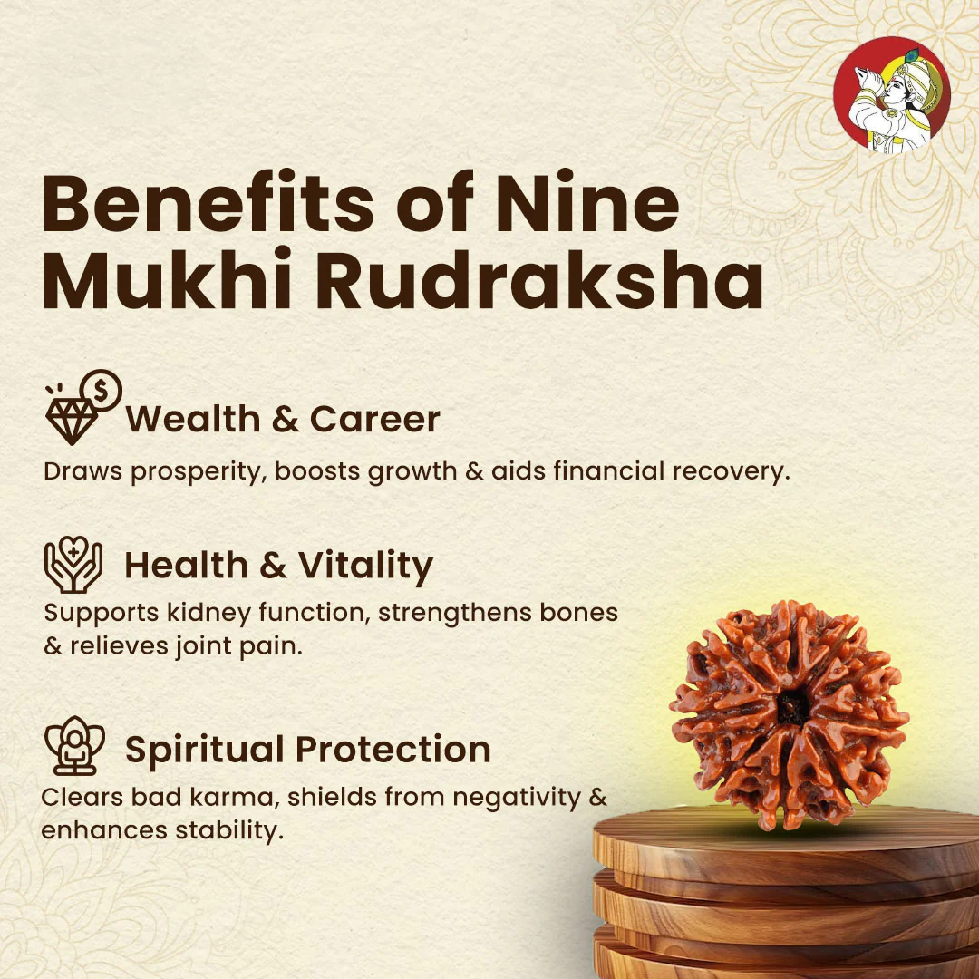 9 Mukhi Lab Tested Certified Rudraksha