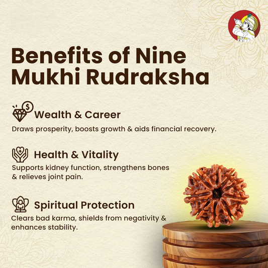 9 Mukhi Lab Tested Certified Rudraksha