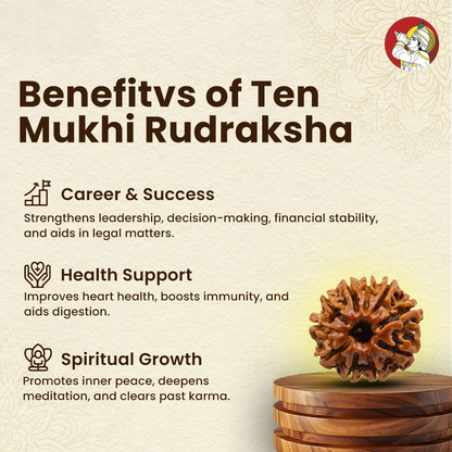 10 Mukhi Lab Tested Certified Rudraksha