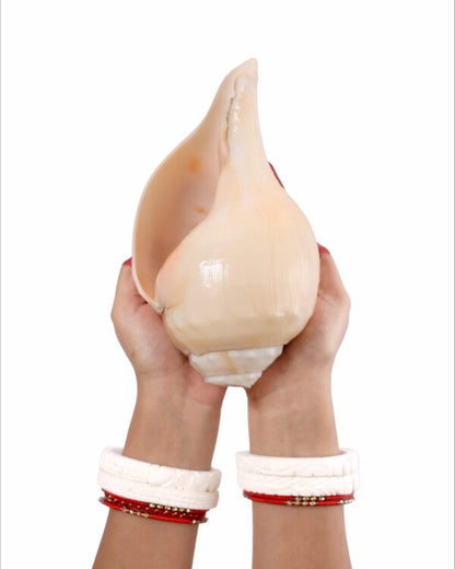 Vamavarti Vishnu Shankh