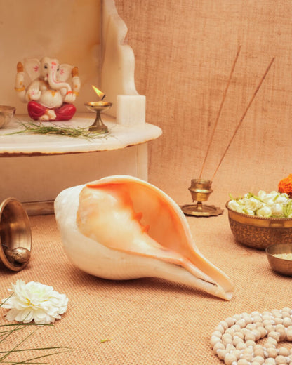 Vamavarti Vishnu Shankh